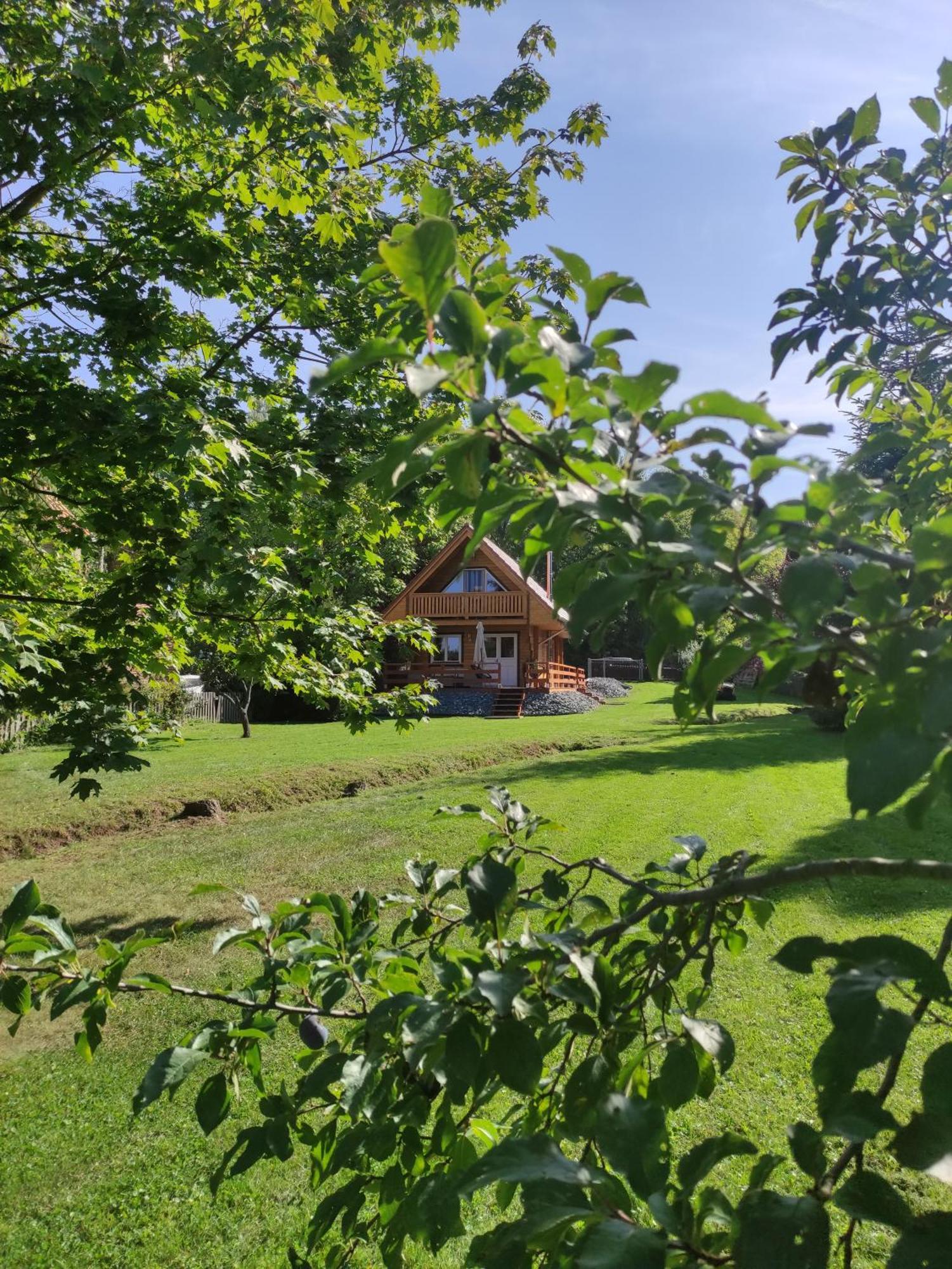 Ferienhaus Birkholz Harz 伊尔森堡 外观 照片